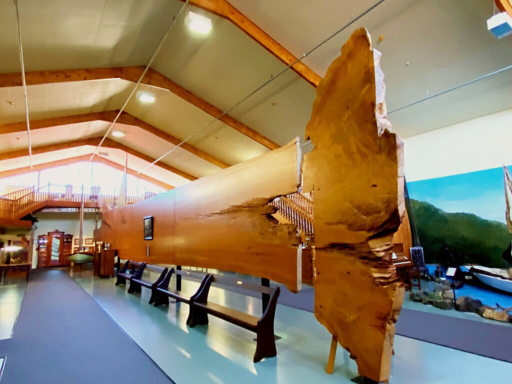 The Kauri Museum