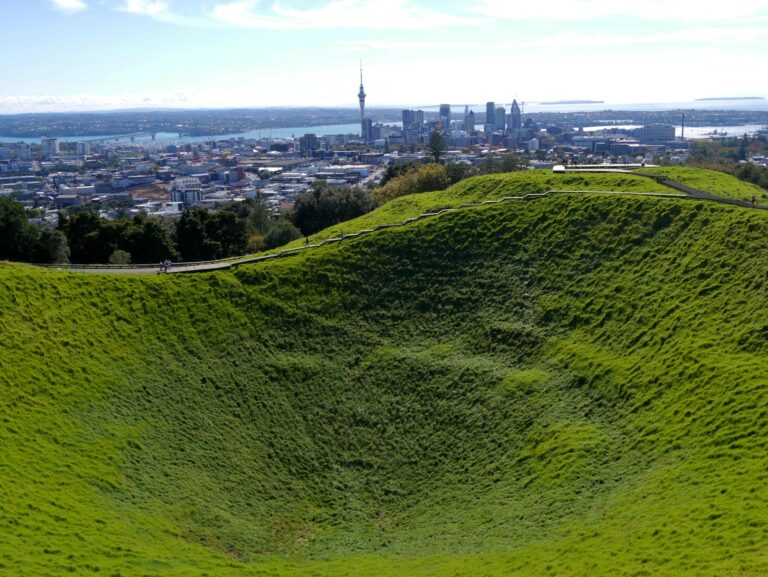 Auckland City Art and Cultural Tour - half or full day private driving tour